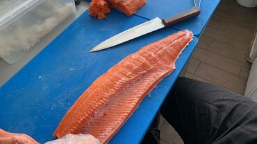рыба осетр: Форель от 1.5 до 4 кг мясо плотное, красное, без запаха на Аллере