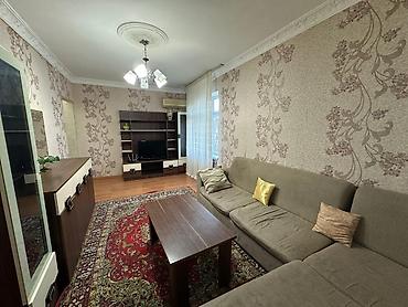 kiraye evl: Bakıxanov qəsəbəsində ( Razində ) Çempion çay evinin arxası, Qloroiya — 5