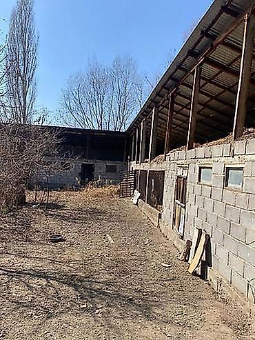 короб дома: 24 соток, Для бизнеса, Красная книга, Тех паспорт, Договор купли-продажи — 3