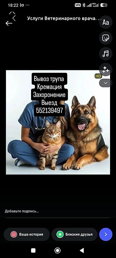 Ветеринарные ритуальные услуги для домашних животных. - Вывоз тела