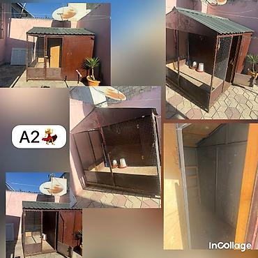 Digər biznes avadanlığı: Aynur 2💃 Cücə hinni və ya it damı kimi isdifadə edə bilərsiz Aynur — 1