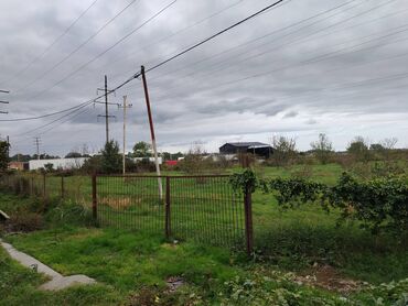 Torpaq sahələrinin satışı: 130 sot, Tikinti, Kupça (Çıxarış) — 2