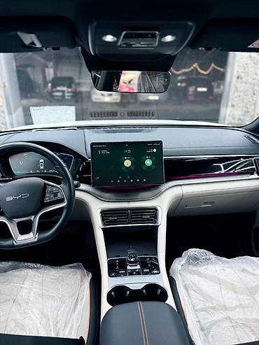 BYD: BYD Song Plus: 2024 г., Гибрид, Кроссовер — 11