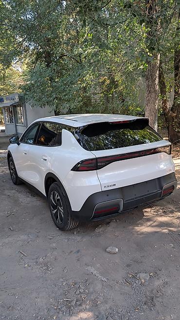 byd 05: Changan Qiyuan Q05: 2026 г., Электромобиль, Кроссовер — 1