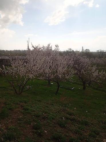 Продажа участков: 194 соток, Для бизнеса, Красная книга — 9