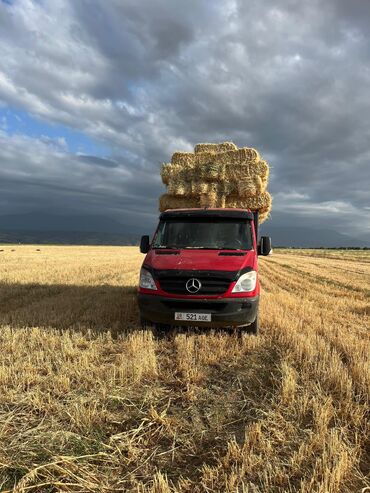 спринтер рекс дубил кабина: Mercedes-Benz Sprinter: 2007 г., 2.2 л, Механика, Дизель, Бус