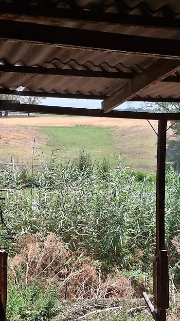 Продажа коттеджей и домов: Продаётся дом с большим участком в Сокулукском районе, в селе — 12