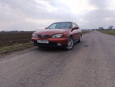 бампер поло: Nissan Primera: 1999 г., 1.8 л, Механика, Бензин, Хэтчбэк