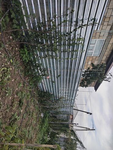 Həyət evləri və villaların satışı: 1 otaqlı, 36 kv. m, Yeni təmirli — 35