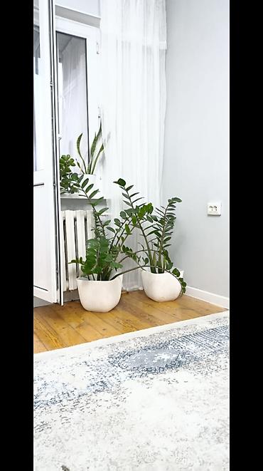 binar: 3 комнаты, 58 м², Азия Молл 104 серия, 3 этаж, Евроремонт — 3