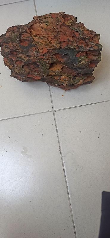 Akvarium dekoru: Akvaryum dekoru – təbii görünüşlü əlin içindən böyükdür - Material — 1