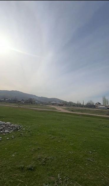 чон арыке: 5 соток, Курулуш, Кызыл китеп — 2