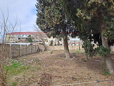 Torpaq sahələrinin satışı: 25 sot, Kupça (Çıxarış) — 17