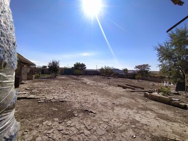 Torpaq sahələrinin satışı: 6 sot, Kənd təsərrüfatı, Kupça (Çıxarış) — 4