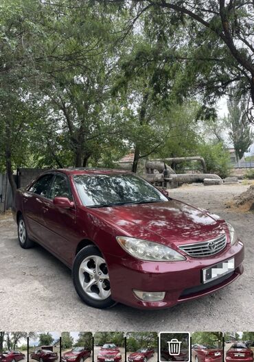 тойота сёрф: Toyota Camry: 2004 г., 2.4 л, Автомат, Бензин, Седан
