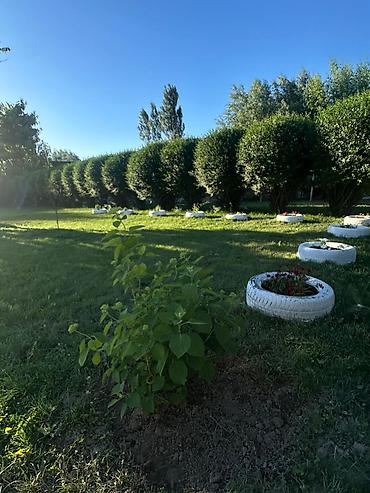 Продажа коттеджей и домов: Продаётся жилой дом с большим участком. 🌿 Продаётся уникальный — 1