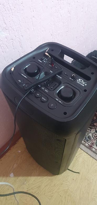мини диктофон: Портативная акустическая система Sing-e ZQS10208 - Формат: напольная — 2