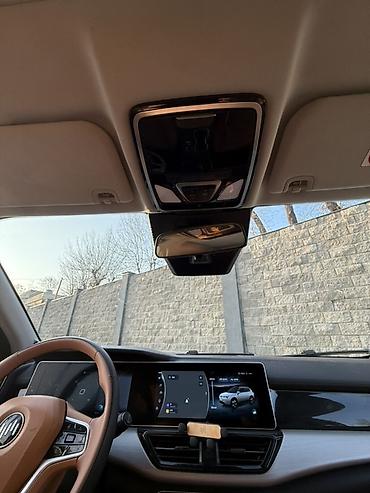 Weltmeister: Weltmeister W6, 2022 г. — 21