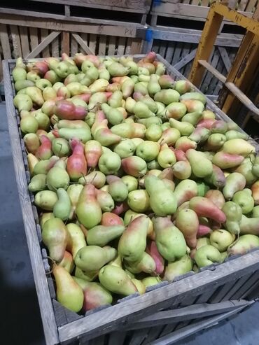 детскую кроватку кроватка к: Груши Оптом, Самовывоз