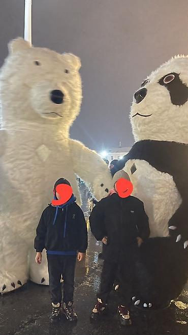Чоң куурчак, Жаныбар, Аюу — 1