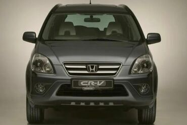 Решетки радиатора: Решетка радиатора Honda Новый