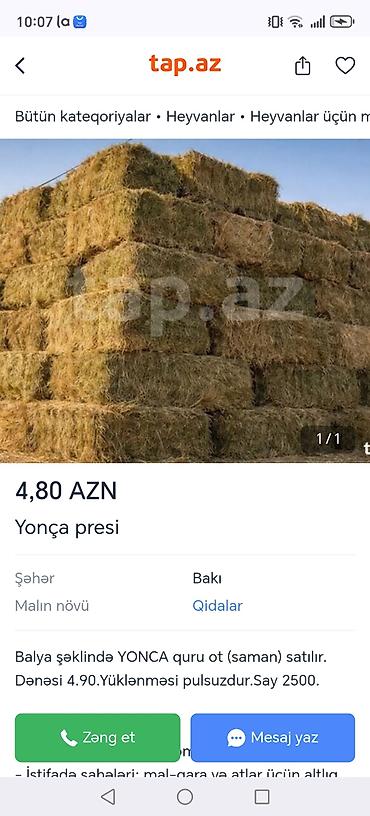 at satiwi: Məhsul: Yonca presi (balya şəklində quru ot/saman) Təsvir: - Heyvan — 2