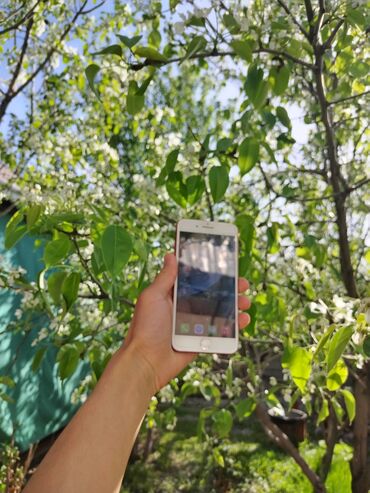 Apple iPhone: IPhone 7 Plus, Новый, 128 ГБ, Desert Titanium, Защитное стекло, 73 %