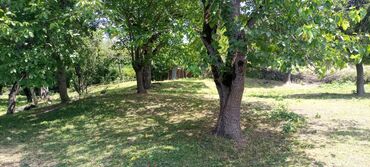xacmaz qusarcay kendi: 6 sot, Tikinti, Mülkiyyətçi, Kupça (Çıxarış)
