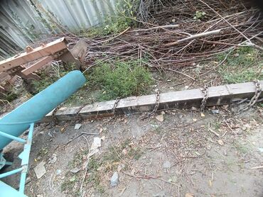 Тракторы МТЗ (Беларус): Трактор — 15