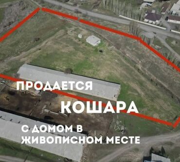купить дом в ынтымаке: Барачный, 1500 м², 4 комнаты, Собственник, Старый ремонт