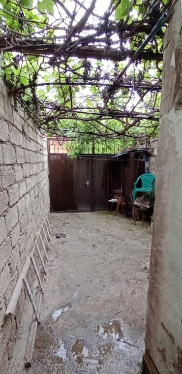 Həyət evləri və villalar: Tecili Zabrat 1 demir yolu 307 mektebe yaxin 1 otaq 1 metbex adelni