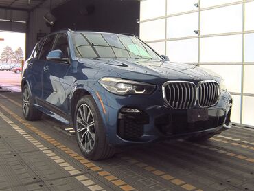 Land Rover: BMW X5: 2019 г., 3 л, Автомат, Бензин, Внедорожник