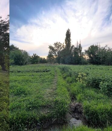 Продажа домов: Дом, 72 м², 4 комнаты, Агентство недвижимости, Косметический ремонт — 7