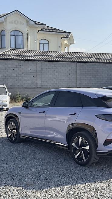 byd e5: BYD Sea Lion 07: 2024 г., Электромобиль, Кроссовер — 10