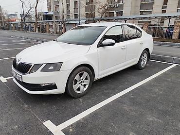 octavia: Skoda Octavia: 2018 г., 1.6 л, Автомат, Бензин, Седан — 1