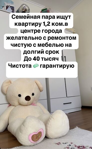 Сниму квартиру: 2 комнаты, 40 м², С мебелью