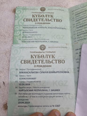 айдоочулук куболук жоголду: Найдены свидетельства о рождении