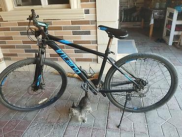 Vilano dağ velosipedi - Çərçivə: yüngül alaşımlı, hardtail -