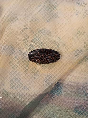 Броши: Брошь, Женские, Бусины, Б/у — 1