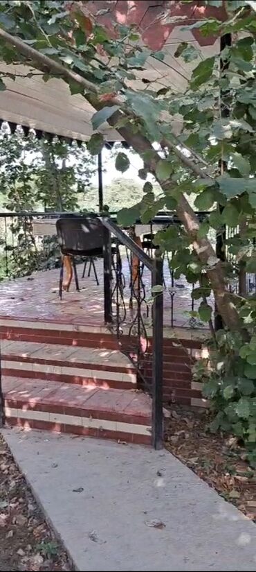 Torpaq sahələrinin satışı: 50 sot, Kənd təsərrüfatı — 7