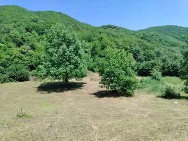 Torpaq sahələrinin satışı: Tikinti — 21