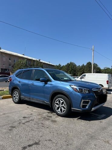 все для салонов красоты дордой: Subaru Forester: 2019 г., 2.5 л, Вариатор, Бензин, Кроссовер