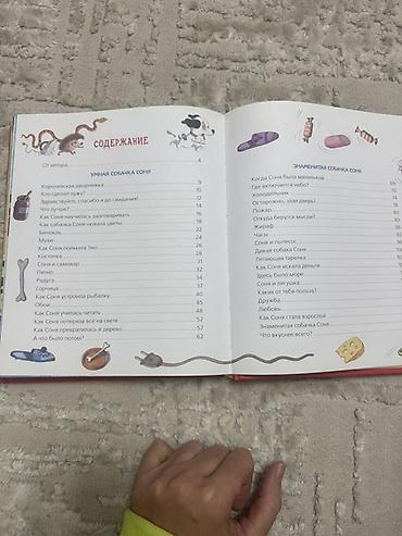 катя петя: Умная Собачка Соня. ПОДАРОЧНОЕ ИЗДАНИЕ Отличный подарок и не дорого — 4