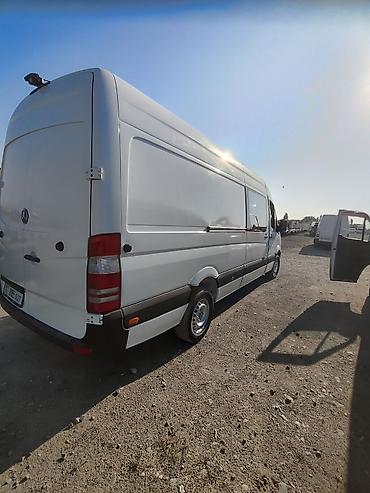 короткий спринтер: Mercedes-Benz Sprinter,316 белый, длинная база, высокий крыша — 6