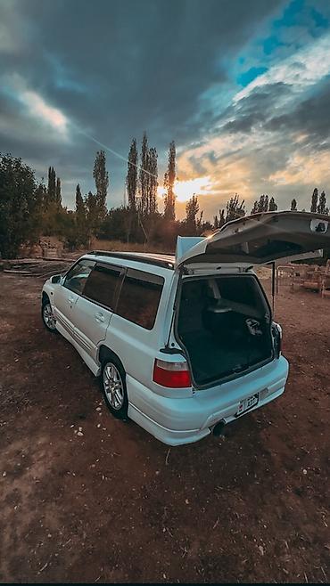 Subaru: Subaru Forester: 2001 г., 2 л, Автомат, Бензин, Универсал — 13