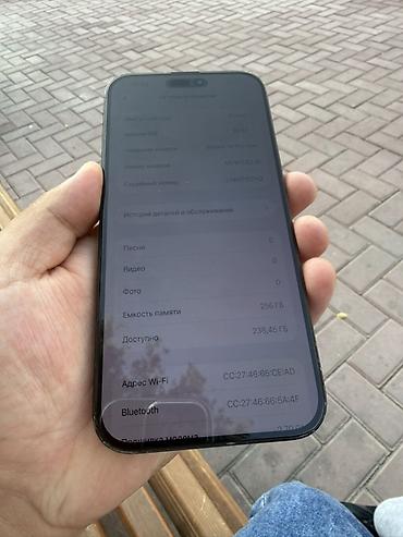 apple iphone se: IPhone 16 Pro Max, 256 ГБ, цвет чёрный (титановый оттенок). На экране — 4