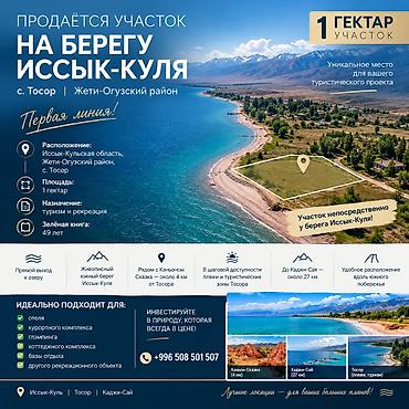 50 000: 100 соток, Для бизнеса — 1