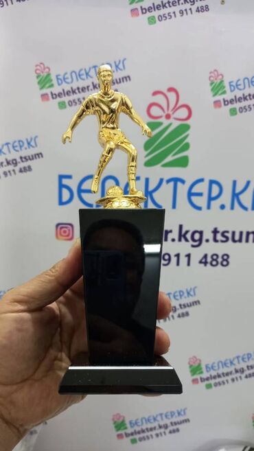 Значки, ордена и медали: ✅ Стеллы на черном хрустале ✅ Футбол ✅ Бильярд ✅ Студент ✅ — 5