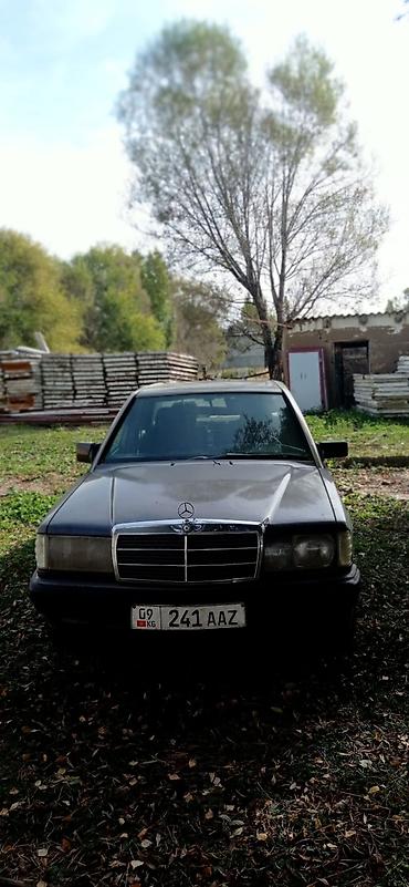 меерс 190: Mercedes-Benz 190: 1991 г., 2.6 л, Автомат, Бензин, Седан — 1