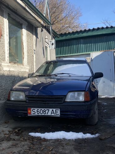 проводка коса: Opel Kadett: 1991 г., 1.5 л, Механика, Бензин, Хэтчбэк